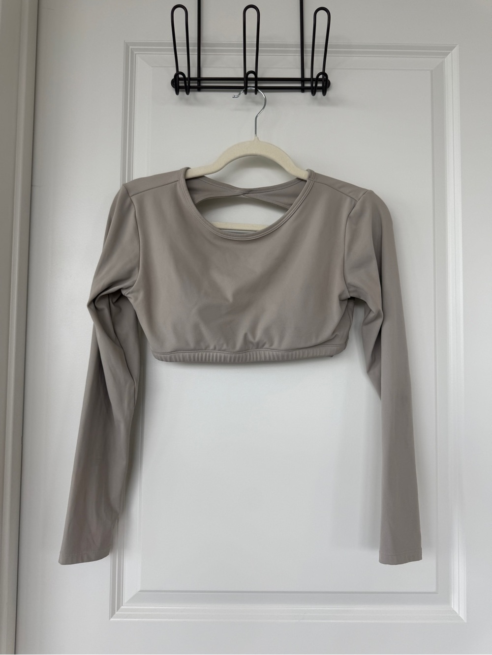 Long-Sleeve Cropped Top in Taupe